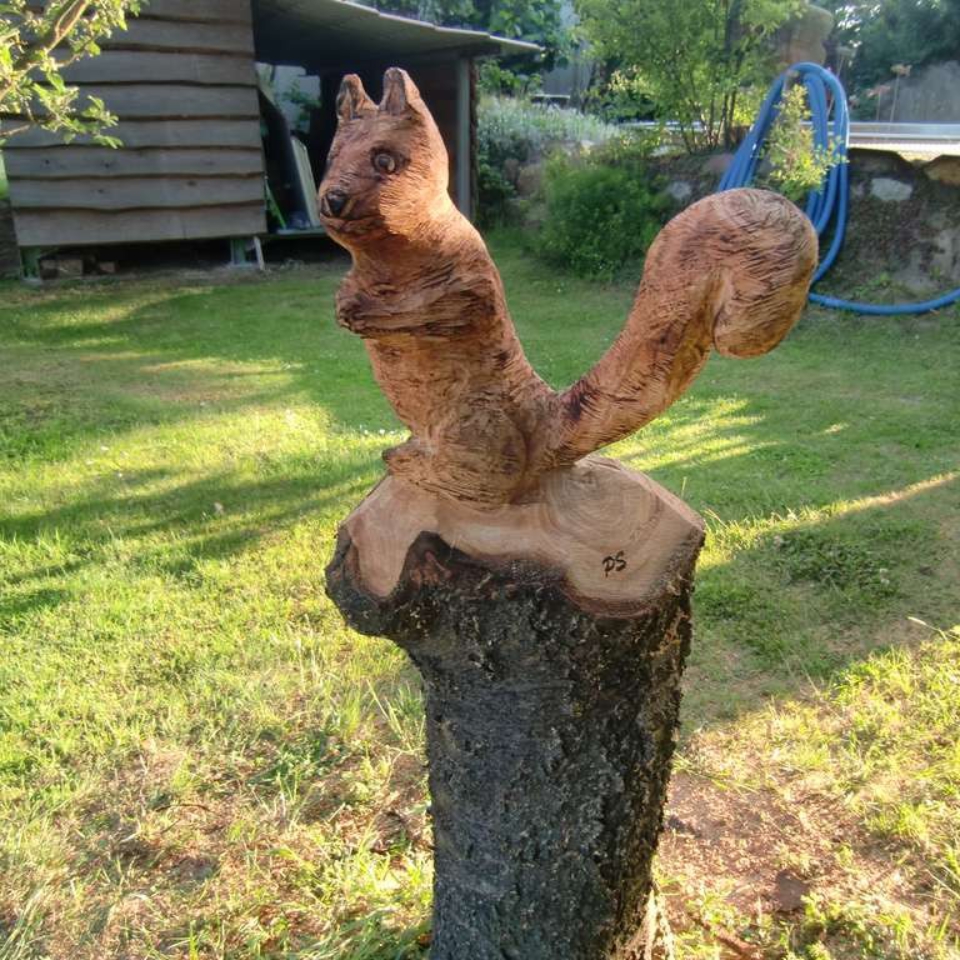 Eichhörnchen, Kirschbaum